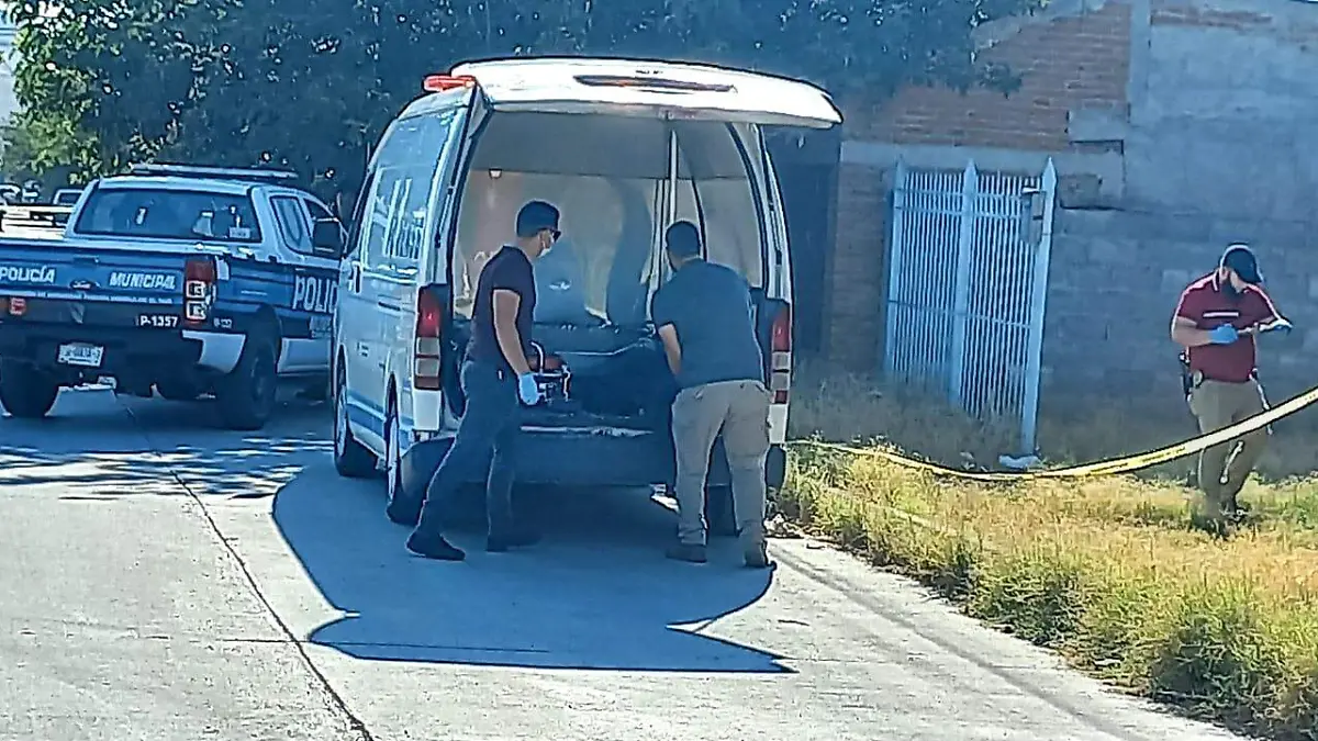 Imagen de WhatsApp 2023-07-10 a las 10.09.34